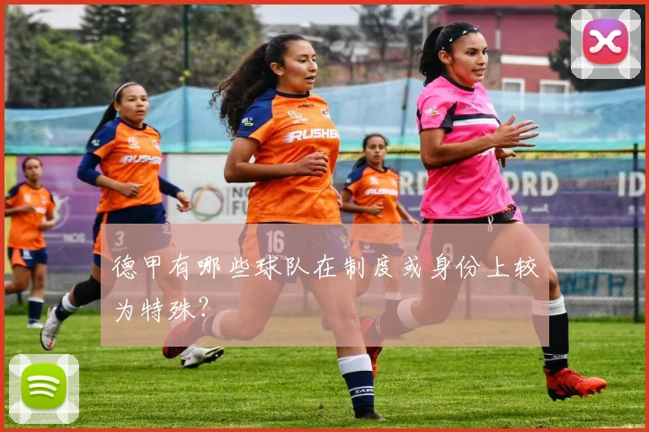 德甲有哪些球队在制度或身份上较为特殊？