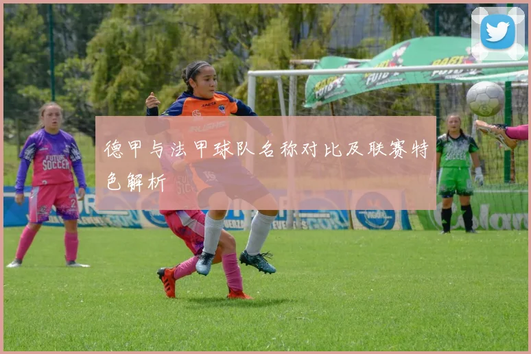 德甲与法甲球队名称对比及联赛特色解析