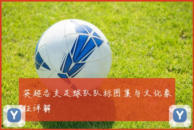 英超各支足球队队标图集与文化象征详解