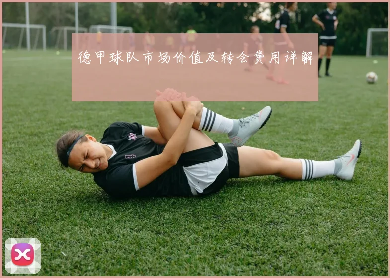 德甲球队市场价值及转会费用详解