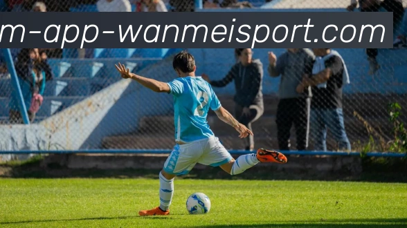 完美体育平台生态图